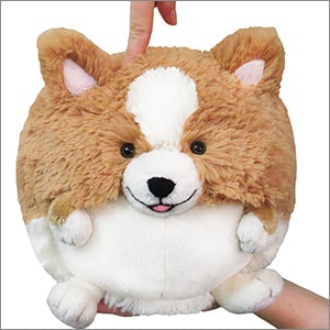 Mini Squishable Corgi (7â€)